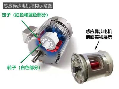 浅谈新能源汽车电动机,三相异步对比永磁同步,孰优孰劣?